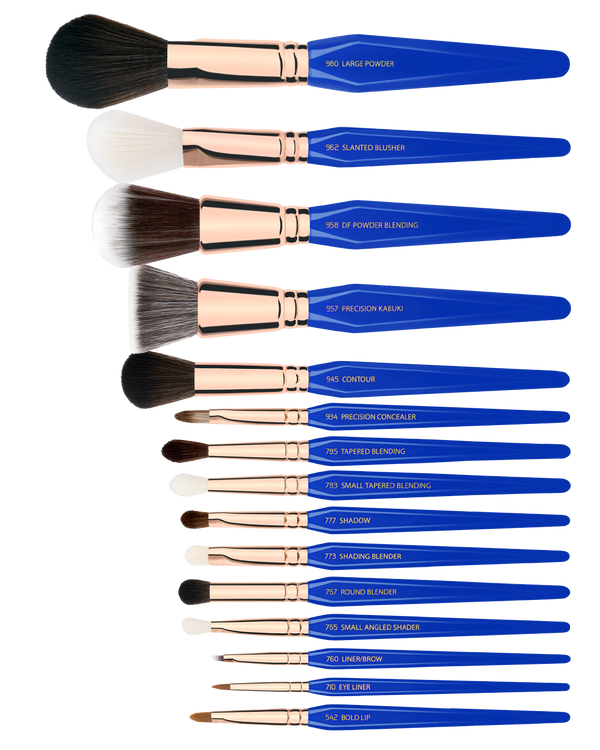 Golden Triangle Phase I Complete 15PC. Brush Set With Pouch