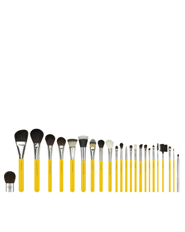 Studio Luxury 24PC. Brush Set With Roll-Up Pouch